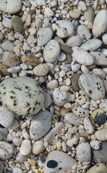 la spiaggia de Le Ghiaie all'Isola d'Elba