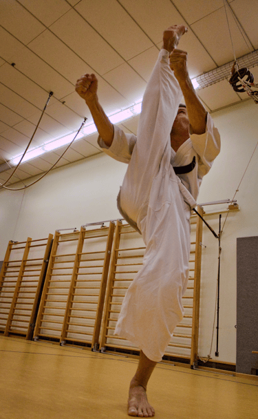 Bild Trainer Karate Kyokushinkai