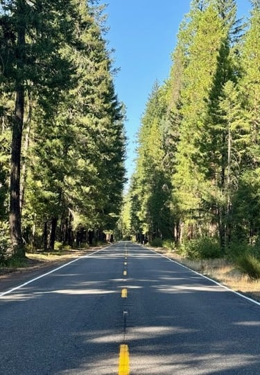 The road to wholeness is a journey. Let me show you the map.