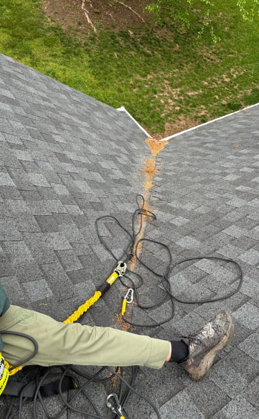 a shadow of a person on a roof with a tree in the background