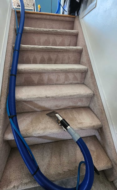 Edmonton best carpet cleaning
