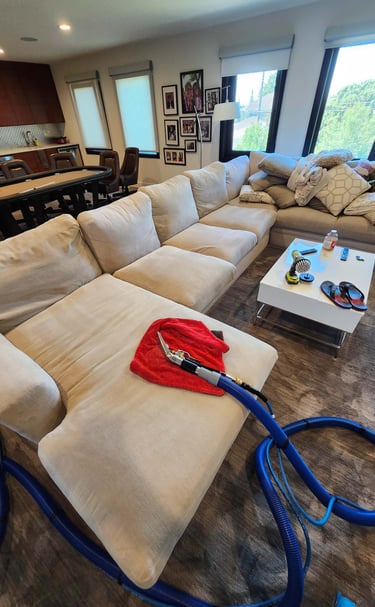 carpet cleaning Edmonton