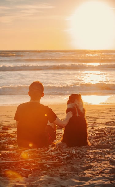 un ragazzo e il suo cane guardano il tramonto sul mare