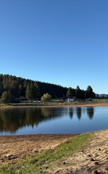 A lake with trees and a blue sky