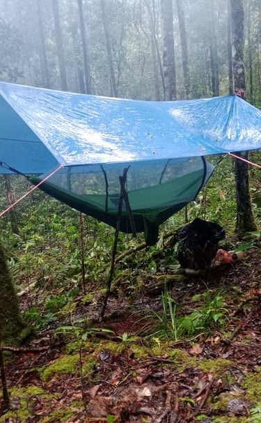 hammock and tarpaulin the go to jungle accommodation 