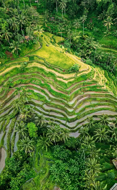 Photo by <a href="https://unsplash.com/@evgeniirychkin?utm_source=unsplash&utm_medium=referral&utm_c