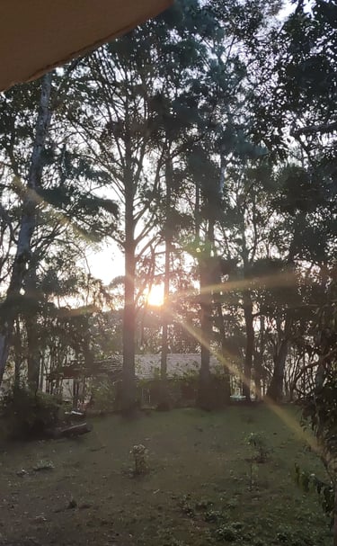 O ciclo biorrítmico é garantido pela alvorada e o por do sol.