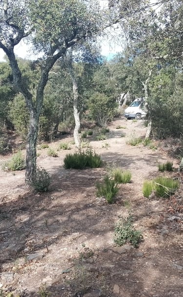 un utilitaire garé en pleine nature