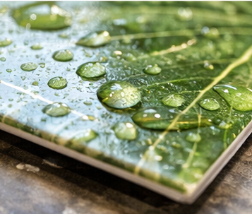 Azulejos de porcelana no absorbe humedad