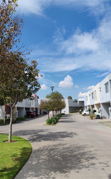 carpintería fraccionamiento gdl