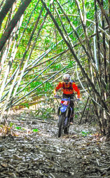 Bali dirt bike tours