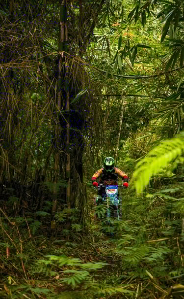 Bali dirt bike tours