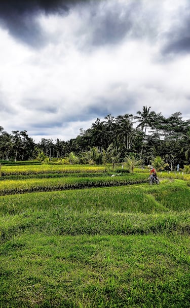 bali enduro tours