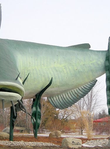 Large channel catfish roadside attraction statue in Selkirk, Manitoba, surrounded by artificial seaweed.
