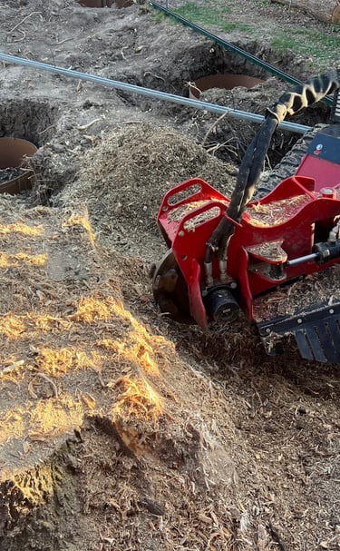 A tree stump being ground up by a red stump grinder