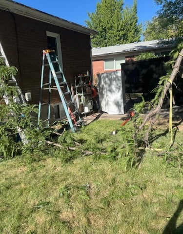 a tree being trimmed in a yard in Millcreek