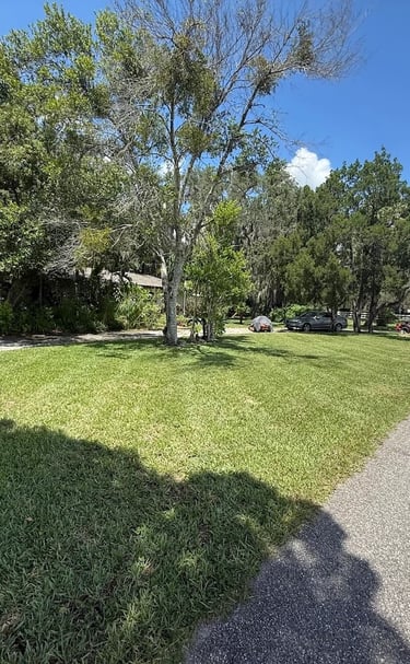Expert landscaping and yard clean-up services in Sebring, Florida by Threefold