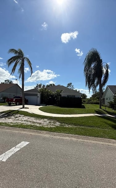 Expert landscaping and yard clean-up services in Sebring, Florida by Threefold