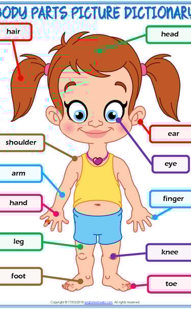 body parts vocabulary esl picture dictionary worksheet for kids