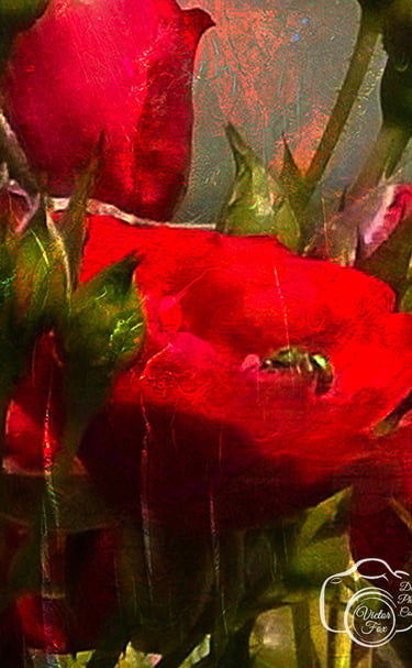 A textured fine art macro photograph featuring vibrant red rosebuds and a honeybee.