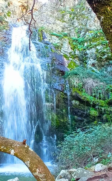 cascada Hoz de carboneros