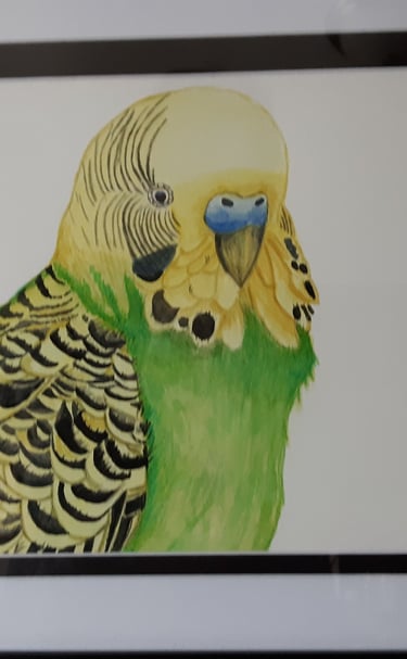 a framed watercolor painting of a green and yellow parakeet