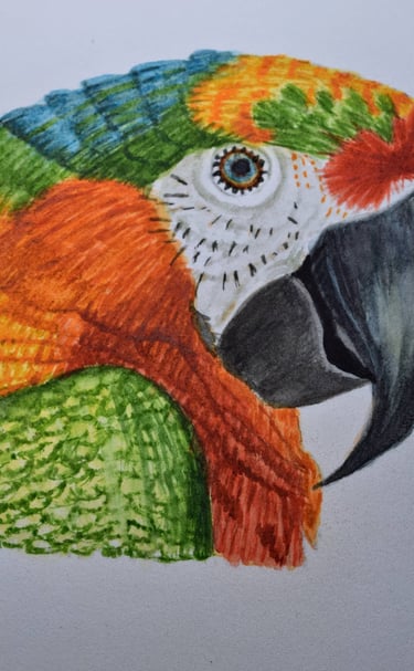 a watercolor paintinf of a colorful parrot