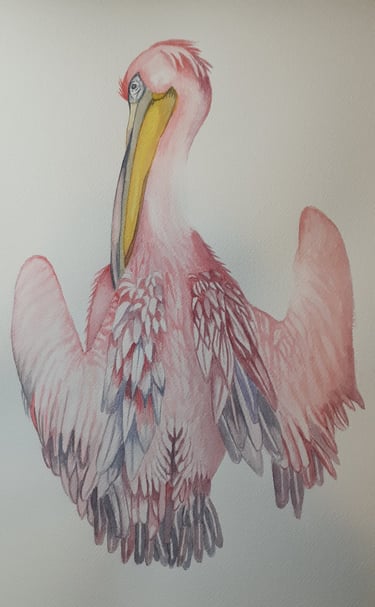 watercolor painting of a pink pelican