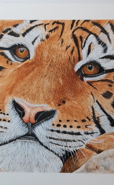a watercolor painting of a tiger