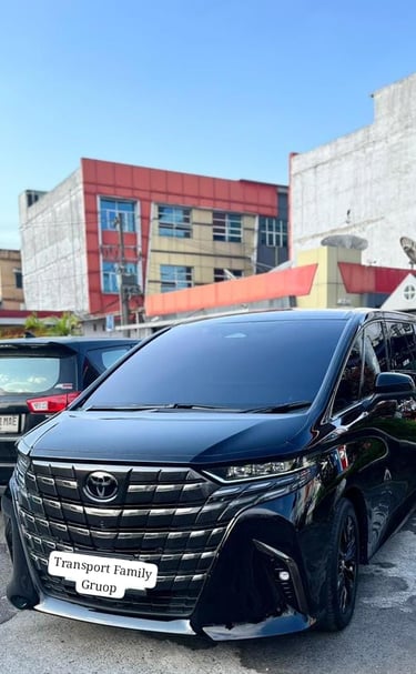 rental alphard medan
