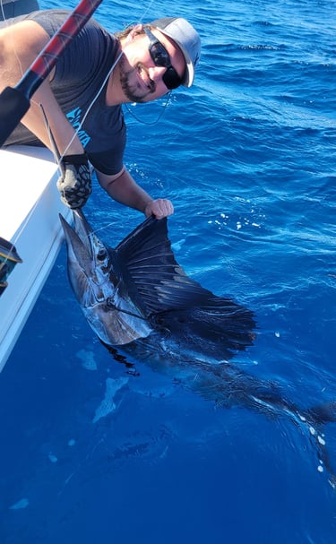 how to catch sailfish in islamorada