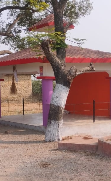 tree front of chabutra