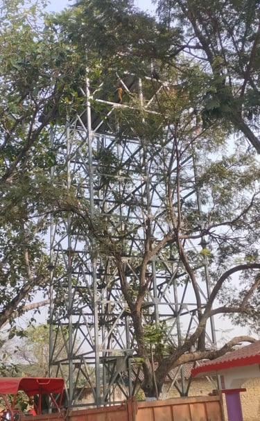 water tank inside tree