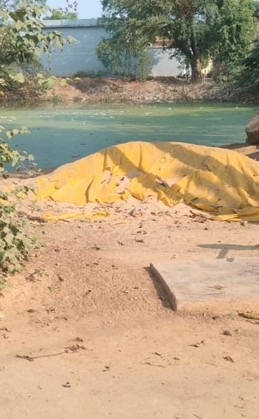 sand front of pond