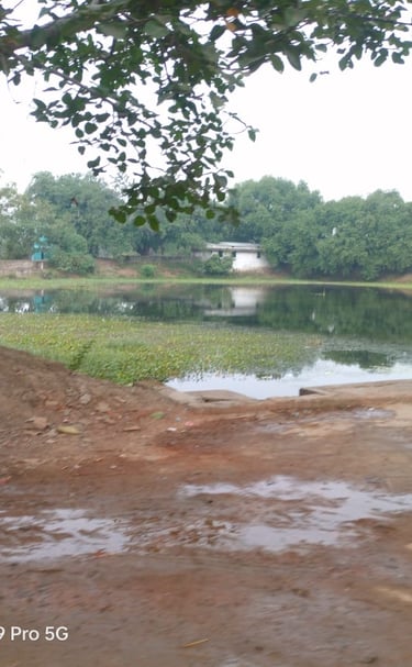 pond