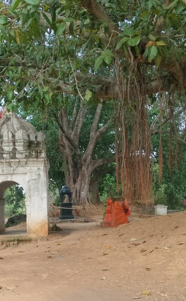 banyan tree