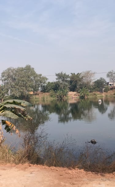 pond