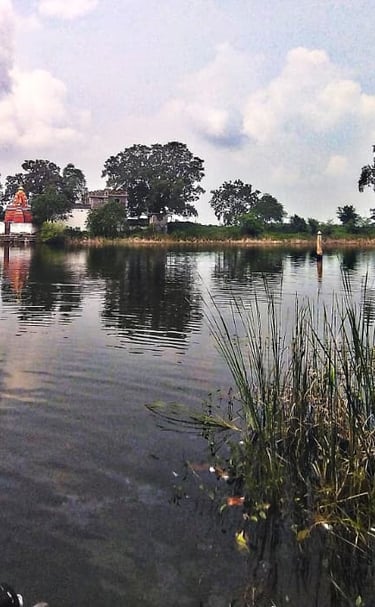 pond