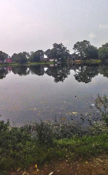 pond