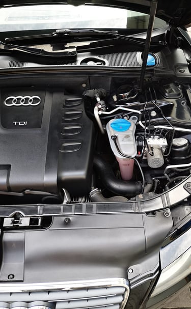 curatare motor audi