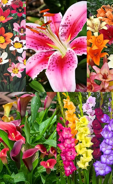A colorful collage of garden flower including lilies, calla lilies, and gladiolus in vibrant blooms.