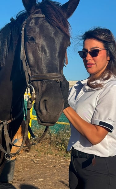 b_equestre,centre_equestre,cours_equitation,balade_a_cheval,balade_plage,balade_coucher_de_soleil,ch