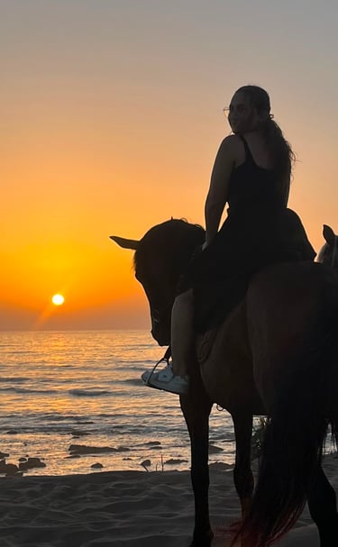 b_equestre,centre_equestre,cours_equitation,balade_a_cheval,balade_plage,balade_coucher_de_soleil,ch