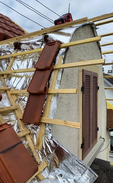 Rénovation de chien assis toitures