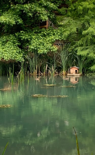 Chalet eau vacances foret nature chevaux 