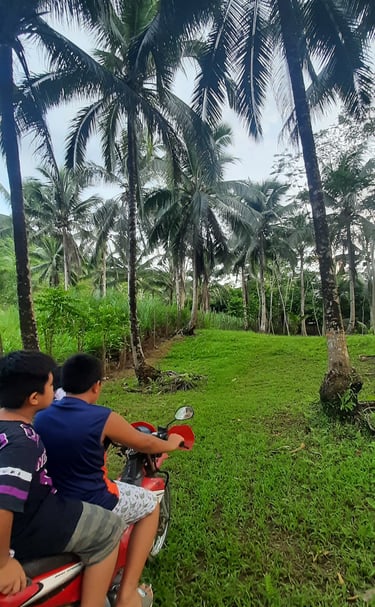 My nephews love motorcycling