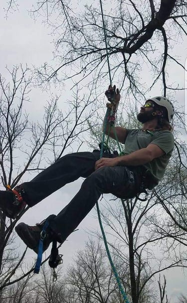 Shammah D'Urso on a rope climbing a tree in Ottawa Kansas 25 years experience safety