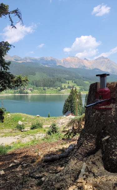 Landscape of a lake and mountains after clearing trees