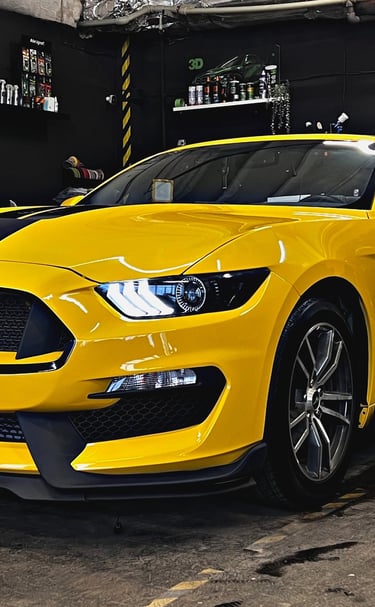 Lipdukų/reklamos gamyba, klijavimas Pavienių detalių kaip chromai, apdailos, langų apvadai, stogas, 