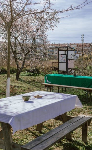 De lluny veus la Ronda Iberica de Vilanova